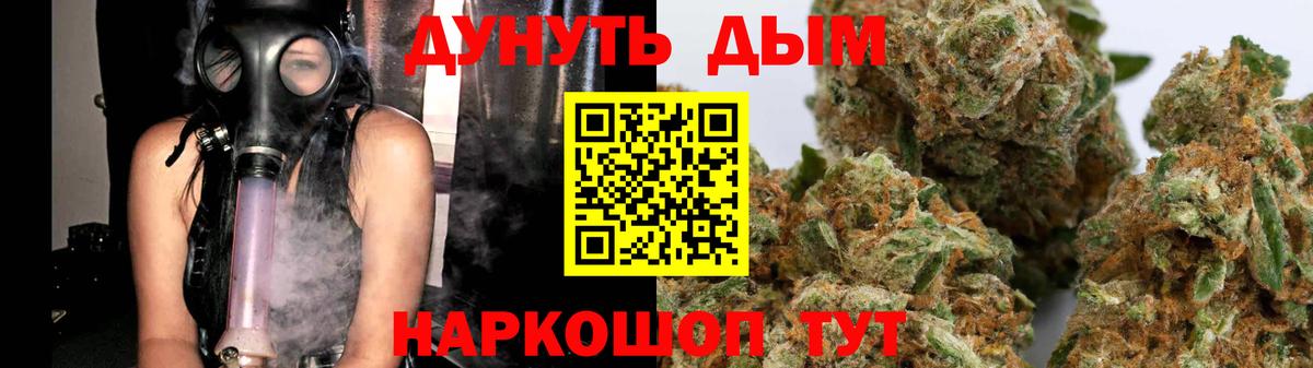 Канабис сатива Можга